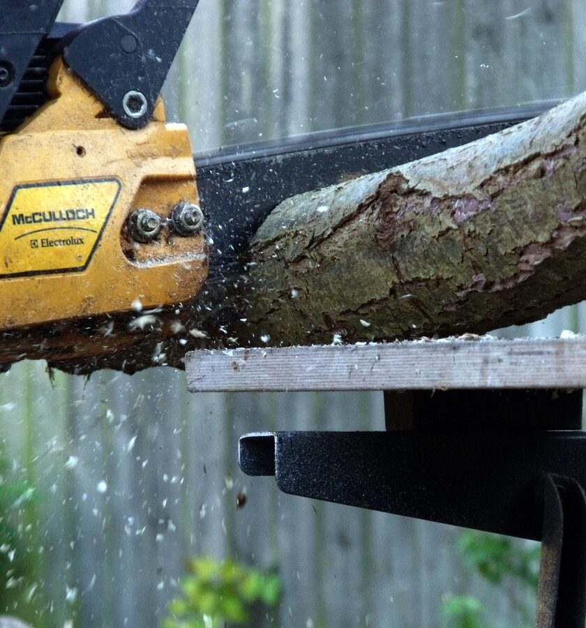 Bûcheron débitant un tronc à la tronçonneuse