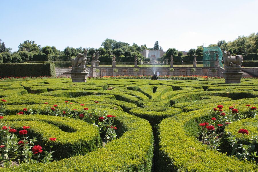 Haie basse de buis soigneusement taillée